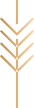 pointer-espiga